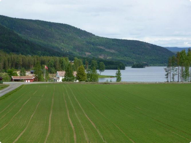 utsikten fra stedet 8 700 500 80 rd 255 255 255 34